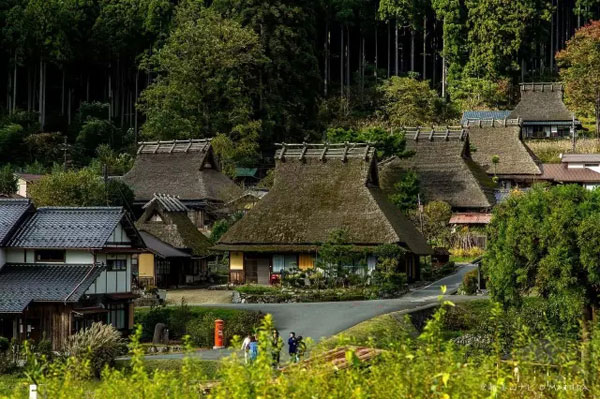 三甲北村人口_北村谅